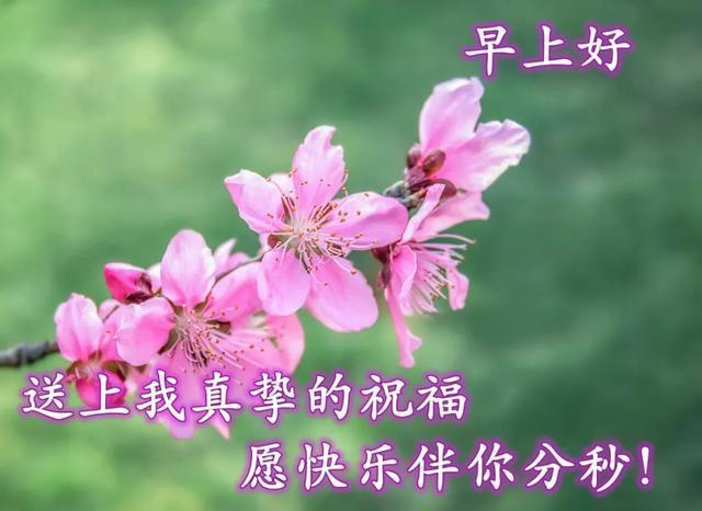 四个字高雅祝福 虎年新年祝福语简短押韵