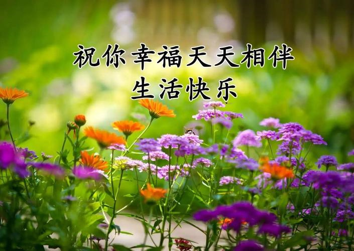 今日立春祝福语