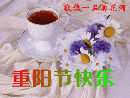 2019年元旦祝福语 眼有星辰大海心有繁花似锦