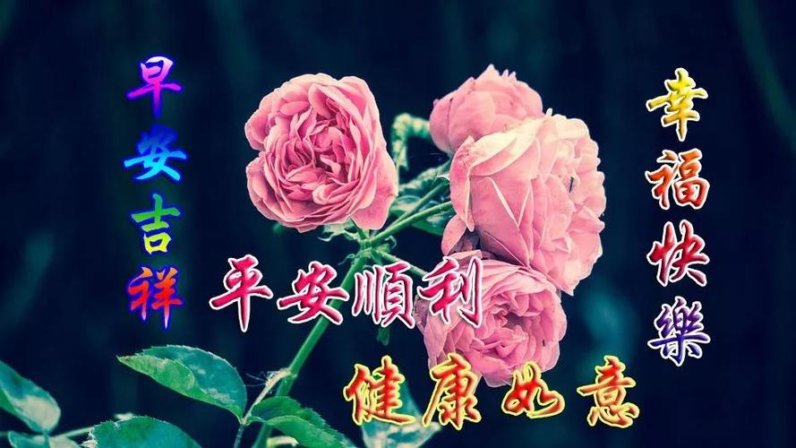 感谢师恩的唯美句子和段落 经典祝福语短句