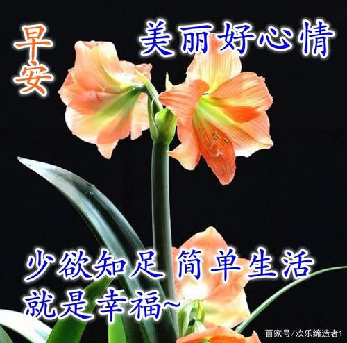 女生节祝福语简短温馨