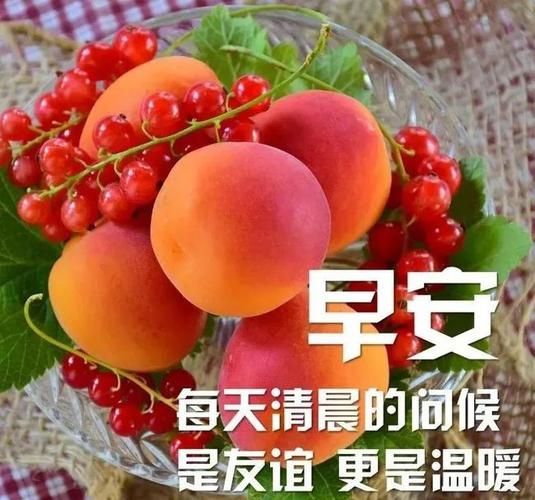 心有繁花似锦 祝福语大全