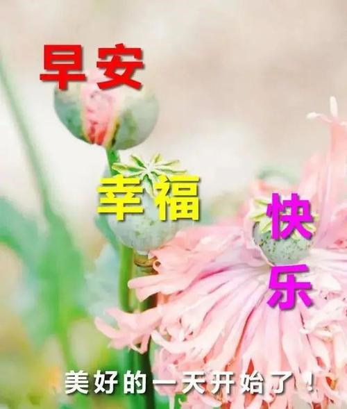 最经典的四字祝福语 虎年祝福语简短精辟短句