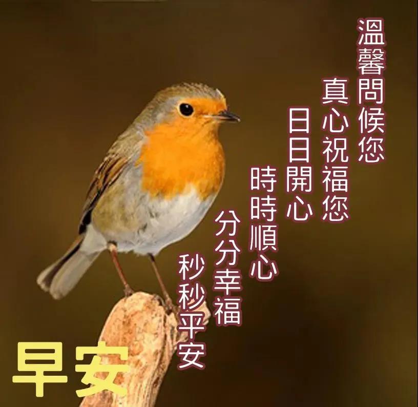 祝福的短句8字