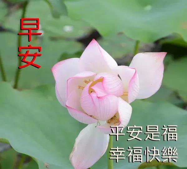 祝福的短句8字