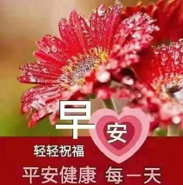 简短温馨的祝福语