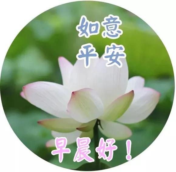 中秋节用语