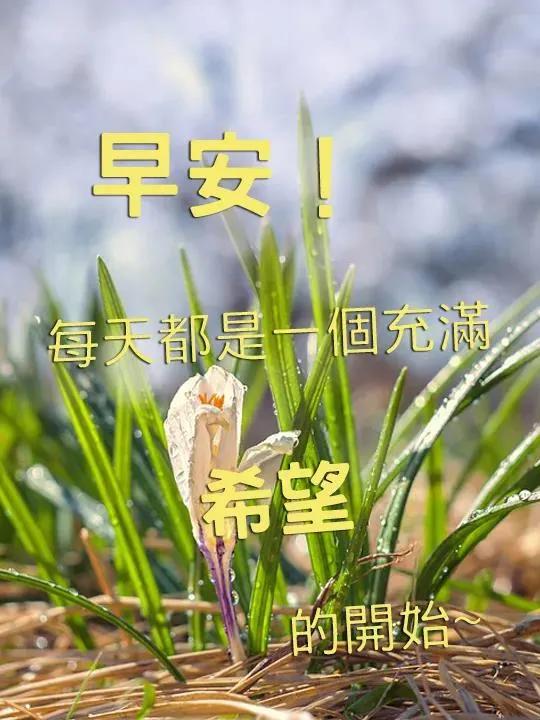 生日祝福语简短大气