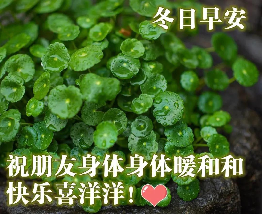 生日祝福语简短大气