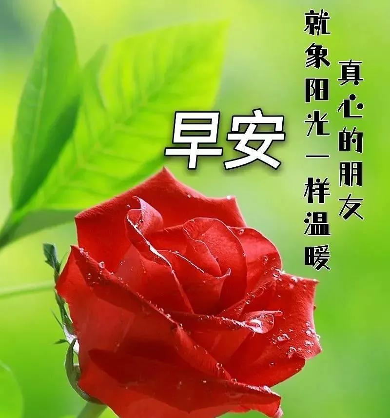 生日精辟语录