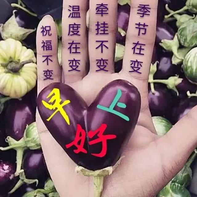 生日精辟语录