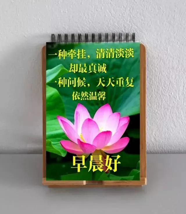 生日精辟语录