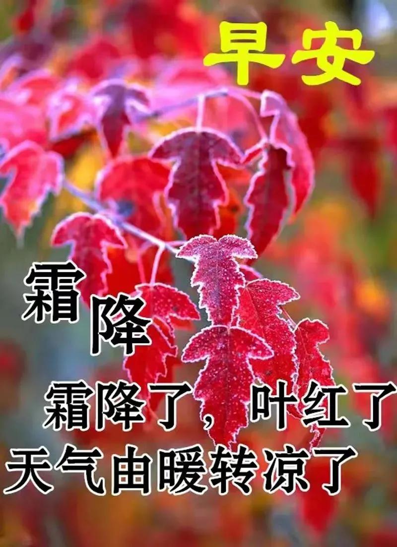 祝高考成功的祝福语