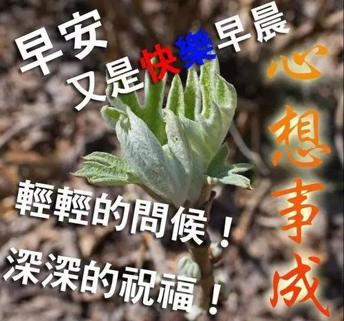 2018年春节祝福语