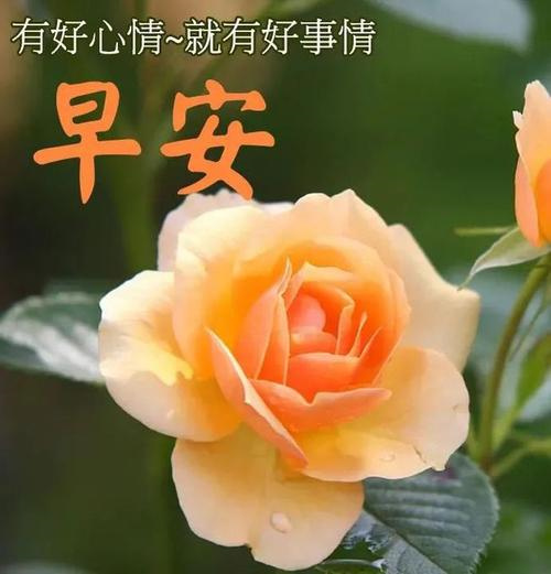 父亲节短信祝福语大全