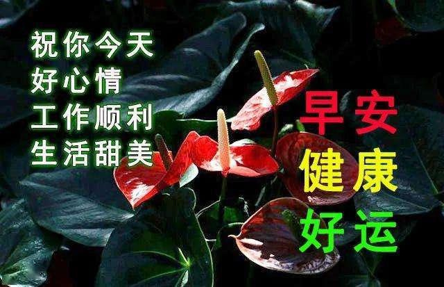 给老师的祝福语八个字 幼儿园教师节祝福语简短