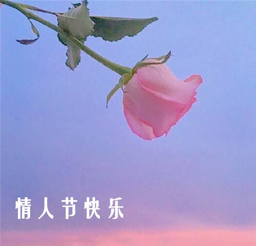 情人节的祝福短信