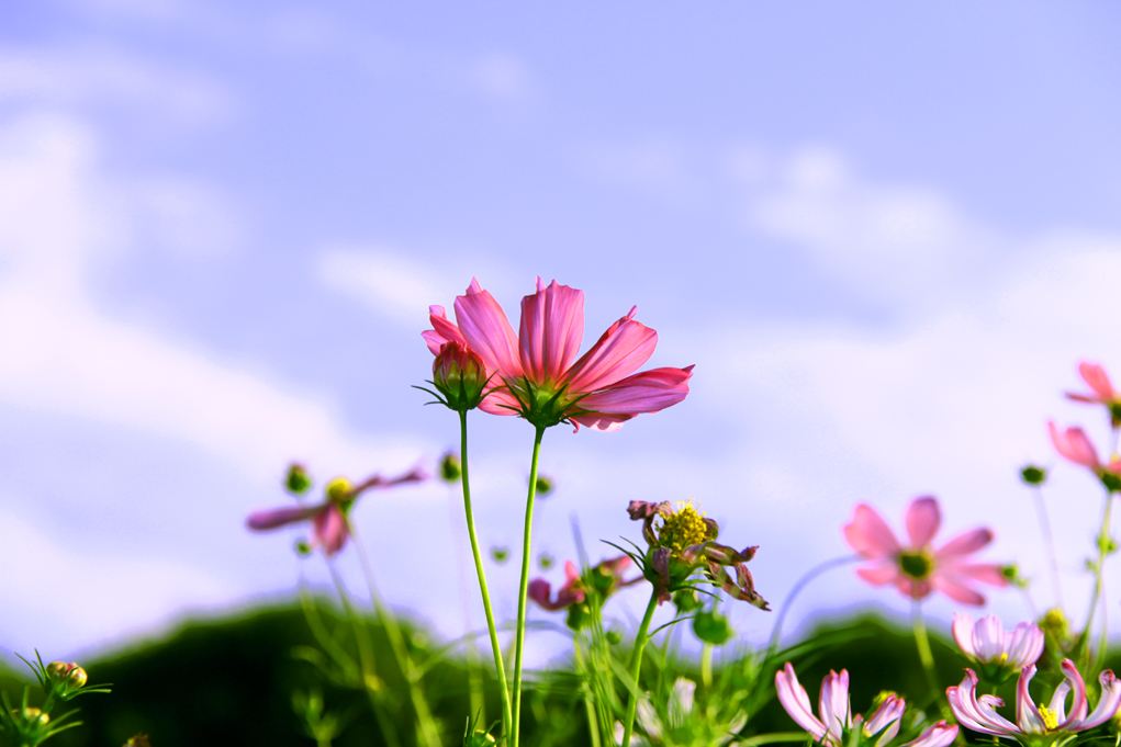 愚人节整蛊