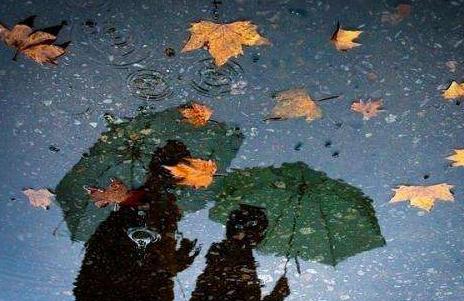 秋雨绵绵的唯美句子