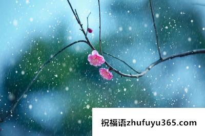 描写雨的优美句子